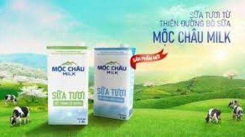 Sữa Mộc Châu sẽ chi 110 tỷ đồng trả nốt cổ tức 2022