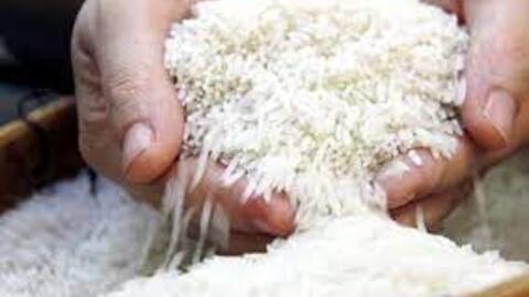 Giá gạo châu Á lên cao nhất 15 năm