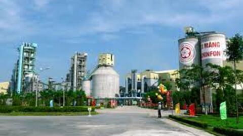 Xi măng Chinfon lãi 6 tháng bốc hơi hơn 99%