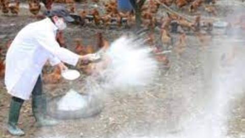 Cần Thơ thực hiện tháng tổng vệ sinh, khử trùng, tiêu độc môi trường