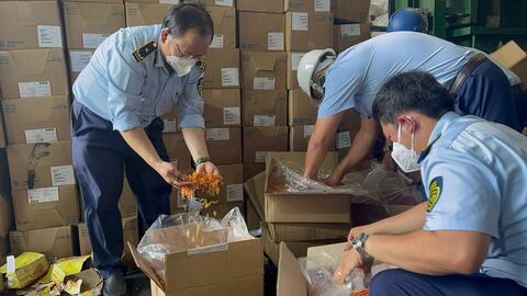 TP HCM tiêu hủy gần 11.000 bánh trung thu nhập lậu