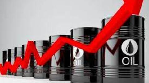Giá dầu tăng hơn 1% sau khi dự trữ dầu tại Mỹ suy giảm và Fed dự báo hạ lãi suất