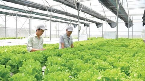 Tạm dừng việc huy động 180 tỷ, Thực phẩm Hồng Hà bỏ ngỏ kế hoạch lấn sân đầu tư KCN