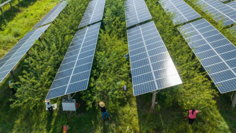 IEA: Tăng trưởng công suất năng lượng tái tạo sẽ bùng nổ trong 5 năm tới
