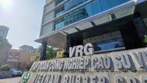 GVR: Lãi ròng 2023 giảm 33% so với năm trước