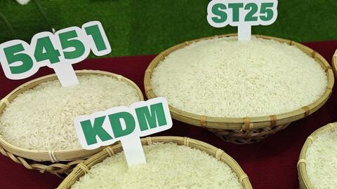 Vì sao giá gạo ST25 xuất khẩu lại giảm?