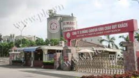 Xi măng Chinfon lãi tăng đột biến trong nửa cuối năm 2023