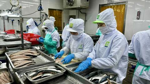 Nhu cầu lao động tại TP HCM tăng cao