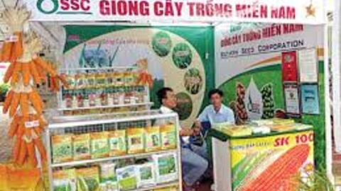 Lãi sau thuế SSC tăng 38% trong quý đầu năm 