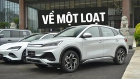 Đại lý nhận cọc 3 xe BYD, báo ra mắt tháng sau: Nhiều phân khúc, có mẫu ngang cỡ CX-5, Camry, chạy 700km/sạc