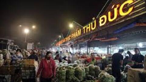 TDH dự kiến lỗ ròng gần 50 tỷ trong năm 2024