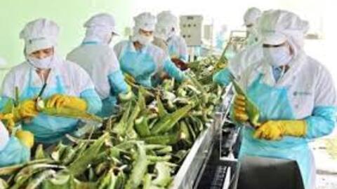 Tập đoàn AIG nâng sở hữu tại GC Food lên trên 14%