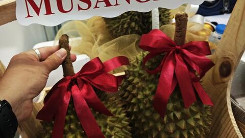 Sầu riêng Musang King rớt giá thê thảm