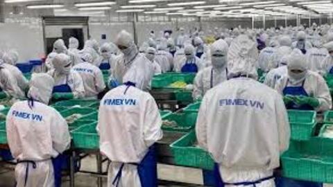 Sao Ta xuất khẩu kỷ lục trong tháng 7, kỳ vọng hưởng lợi khi đồng Yên tăng giá