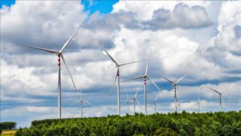 Quý I/2025, năng lượng tái tạo chiếm 16% tổng sản lượng điện toàn hệ thống