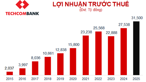 Techcombank: Mục tiêu lãi 31,500 tỷ đồng, phát hành cổ phiếu ESOP để tăng vốn