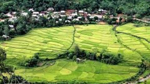 <a href="/thi-truong" title="Thị trường" rel="dofollow">Thị trường</a>