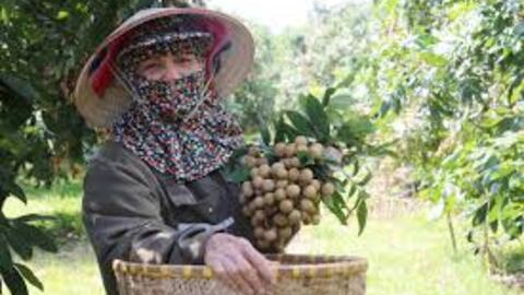 <a href="/thi-truong" title="Thị trường" rel="dofollow">Thị trường</a>