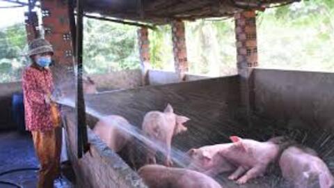 <a href="/thi-truong" title="Thị trường" rel="dofollow">Thị trường</a>