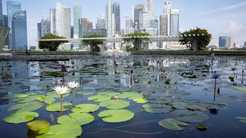 <a href="/quoc-te" title="Quốc tế" rel="dofollow">Quốc tế</a>