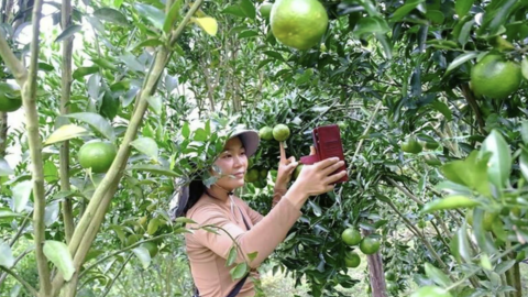 <a href="/nhip-song-kinh-doanh" title="Nhịp sống kinh doanh" rel="dofollow">Nhịp sống kinh doanh</a>