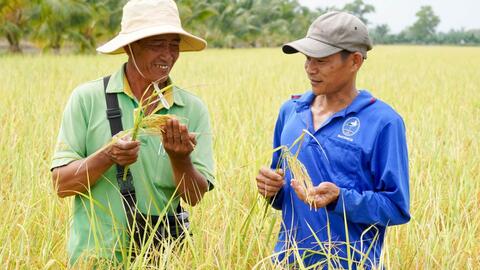 <a href="/nhip-song-kinh-doanh" title="Nhịp sống kinh doanh" rel="dofollow">Nhịp sống kinh doanh</a>