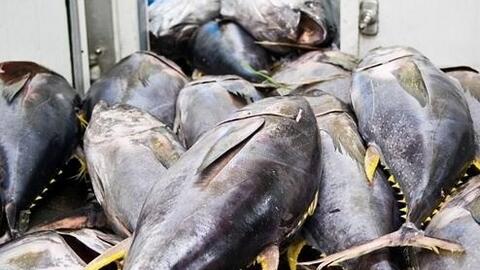 <a href="/nhip-song-kinh-doanh" title="Nhịp sống kinh doanh" rel="dofollow">Nhịp sống kinh doanh</a>