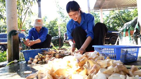 <a href="/nhip-song-kinh-doanh" title="Nhịp sống kinh doanh" rel="dofollow">Nhịp sống kinh doanh</a>