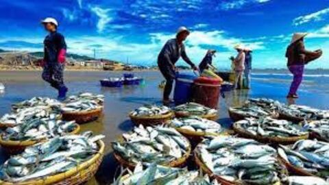 <a href="/nhip-song-kinh-doanh" title="Nhịp sống kinh doanh" rel="dofollow">Nhịp sống kinh doanh</a>