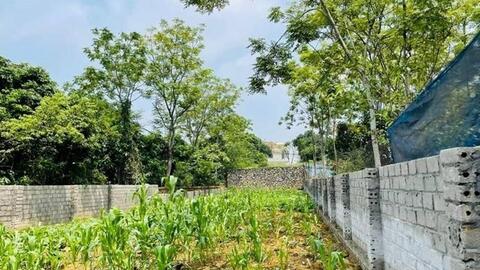 <a href="/chinh-sach-phap-luat" title="Chính sách - Pháp luật" rel="dofollow">Chính sách - Pháp luật</a>