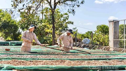 <a href="/nhip-song-kinh-doanh" title="Nhịp sống kinh doanh" rel="dofollow">Nhịp sống kinh doanh</a>