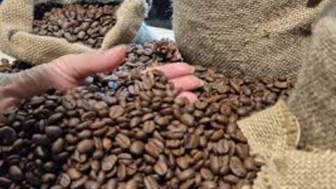 <a href="/thi-truong" title="Thị trường" rel="dofollow">Thị trường</a>