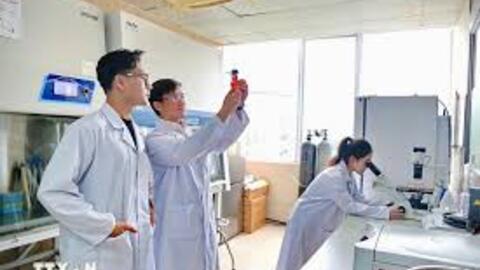 <a href="/chinh-sach-phap-luat" title="Chính sách - Pháp luật" rel="dofollow">Chính sách - Pháp luật</a>