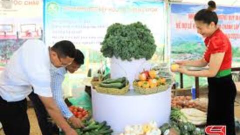 <a href="/thi-truong" title="Thị trường" rel="dofollow">Thị trường</a>