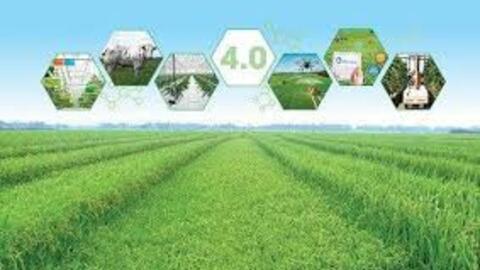 <a href="/chinh-sach-phap-luat" title="Chính sách - Pháp luật" rel="dofollow">Chính sách - Pháp luật</a>