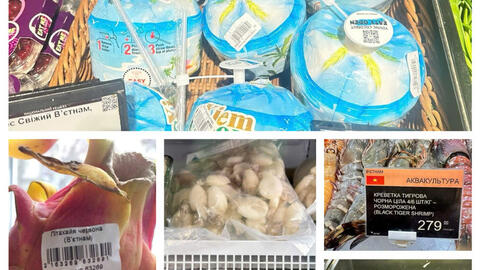 <a href="/hoi-nhap" title="Hội nhập" rel="dofollow">Hội nhập</a>