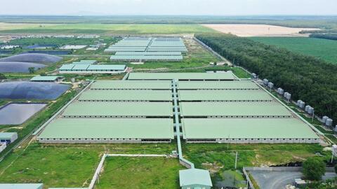 <a href="/nhip-song-kinh-doanh" title="Nhịp sống kinh doanh" rel="dofollow">Nhịp sống kinh doanh</a>