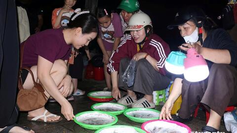 <a href="/thi-truong" title="Thị trường" rel="dofollow">Thị trường</a>