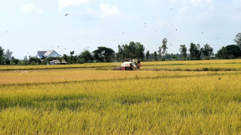 <a href="/nhip-song-kinh-doanh" title="Nhịp sống kinh doanh" rel="dofollow">Nhịp sống kinh doanh</a>