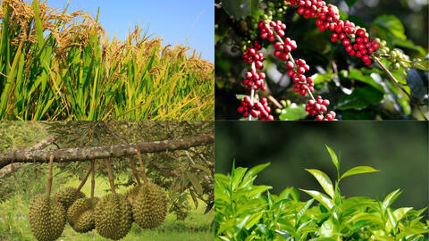 <a href="/nhip-song-kinh-doanh" title="Nhịp sống kinh doanh" rel="dofollow">Nhịp sống kinh doanh</a>
