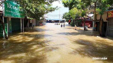 <a href="/hoi-nhap" title="Hội nhập" rel="dofollow">Hội nhập</a>