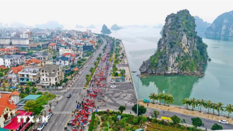 <a href="/hoi-nhap" title="Hội nhập" rel="dofollow">Hội nhập</a>