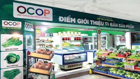 <a href="/thi-truong" title="Thị trường" rel="dofollow">Thị trường</a>
