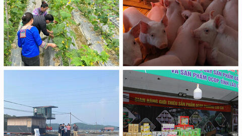 <a href="/nhip-song-kinh-doanh" title="Nhịp sống kinh doanh" rel="dofollow">Nhịp sống kinh doanh</a>