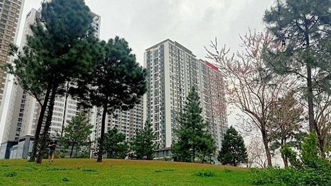 <a href="/thi-truong" title="Thị trường" rel="dofollow">Thị trường</a>
