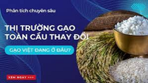 <a href="/thi-truong" title="Thị trường" rel="dofollow">Thị trường</a>