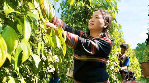 <a href="/thi-truong" title="Thị trường" rel="dofollow">Thị trường</a>