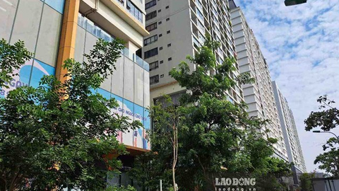 <a href="/thi-truong" title="Thị trường" rel="dofollow">Thị trường</a>