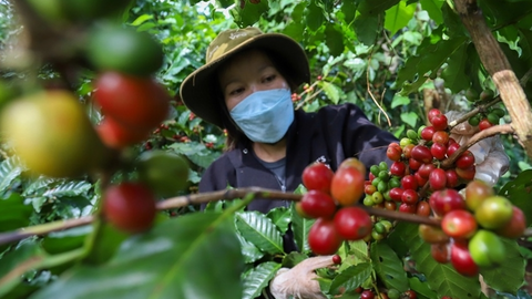 <a href="/thi-truong" title="Thị trường" rel="dofollow">Thị trường</a>