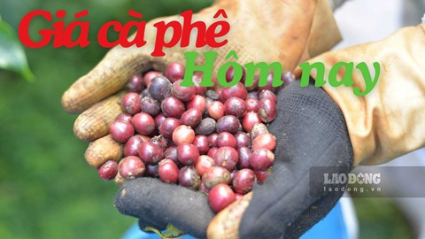 <a href="/thi-truong" title="Thị trường" rel="dofollow">Thị trường</a>
